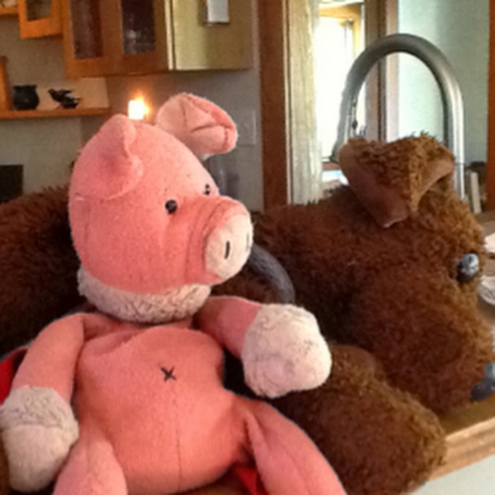 Meet your Posher, Anne durejs